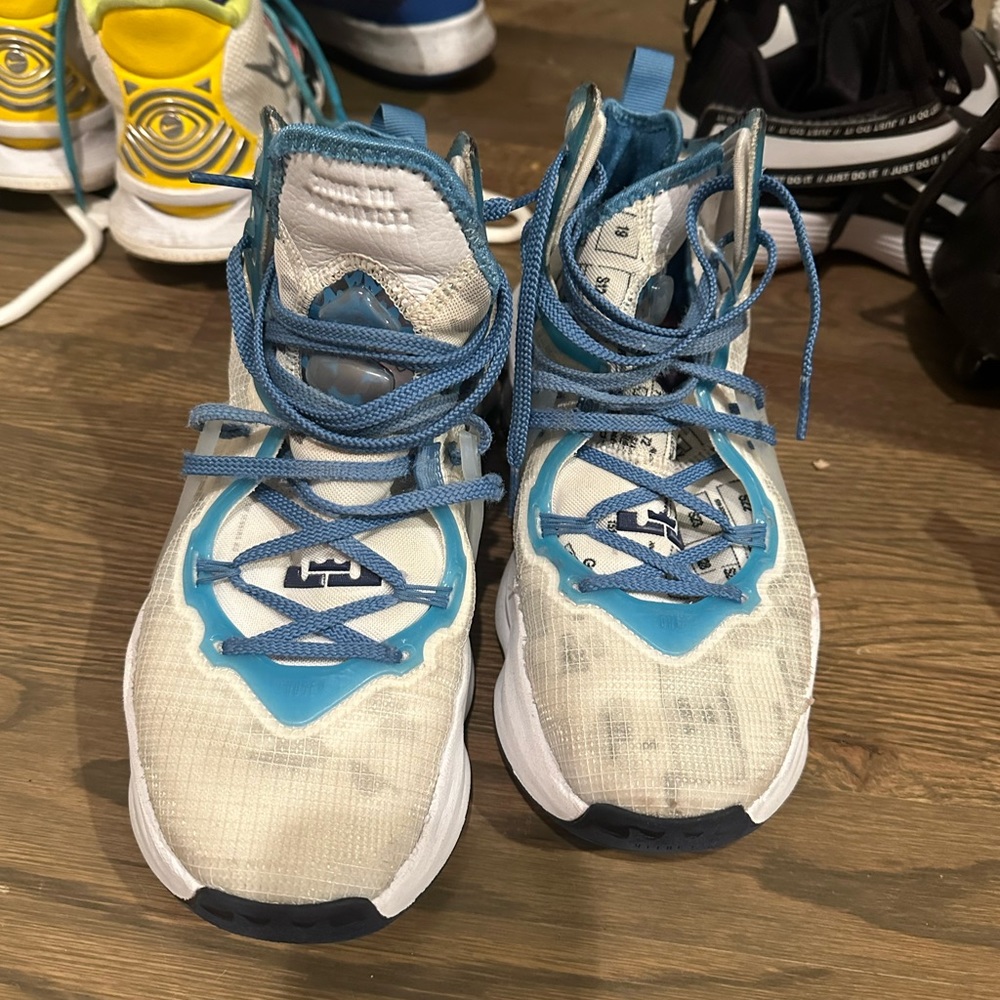 LeBron basketball shoes